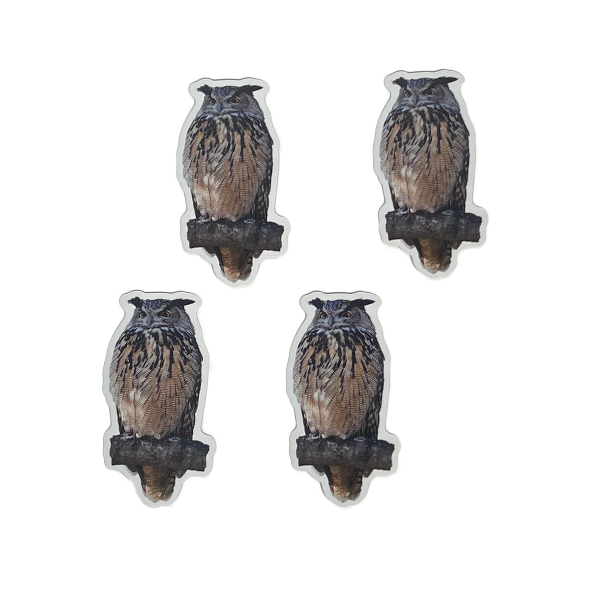 Flaco the Eurasian Eagle-Owl - Sticker 4 Pack