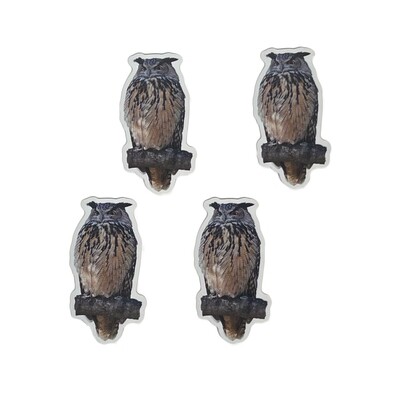 Flaco the Eurasian Eagle-Owl - Sticker 4 Pack