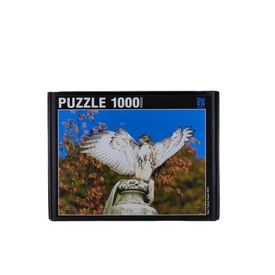 Red-Tailed Hawk at Green-Wood Cemetery Puzzle