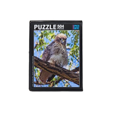 Red-Tailed Hawk Puzzle