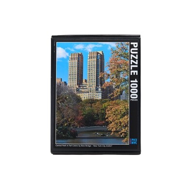 Central Park Puzzle