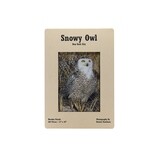 Snowy Owl Wooden Puzzle