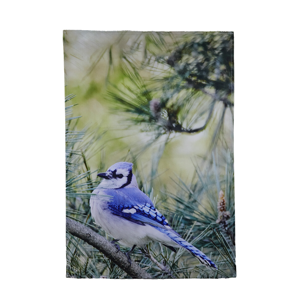 Tea Towel- Blue Jay