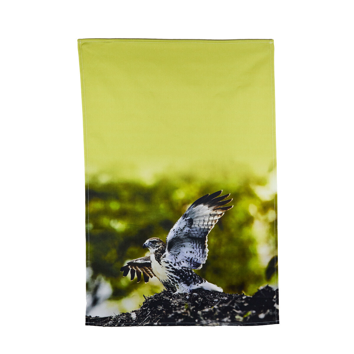 Tea Towel- Red-tailed Hawk