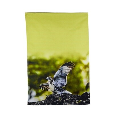 Tea Towel- Red-tailed Hawk