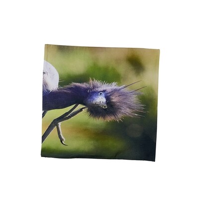 Pillow Cover - Little Blue Heron