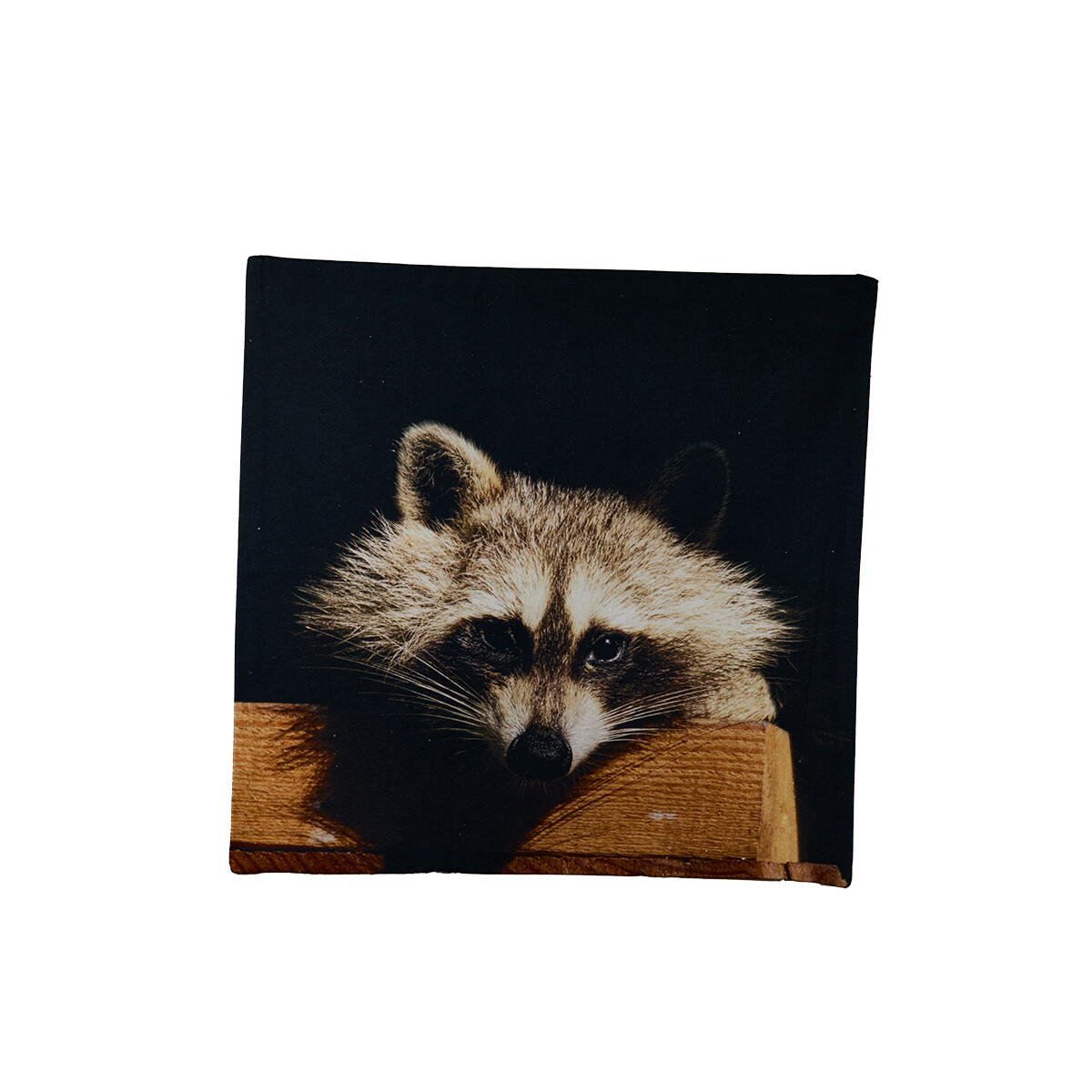 Pillow Cover - Raccoon