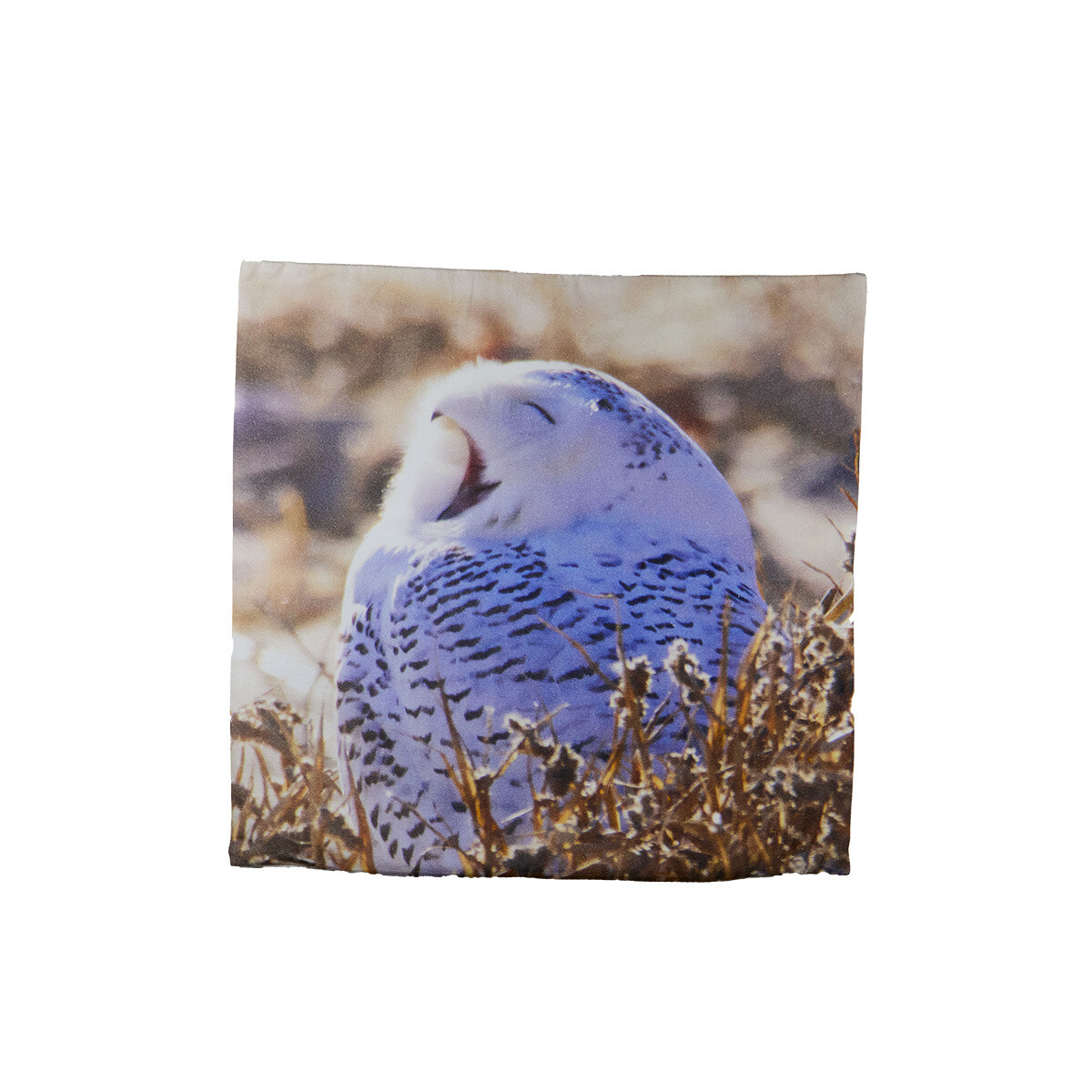 Pillow Cover - Snowy Owl