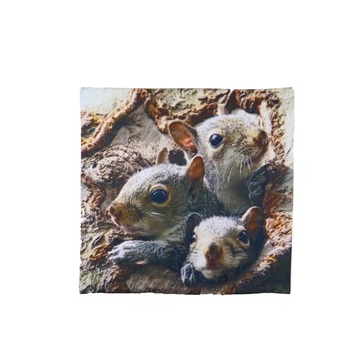 Pillow Cover - Family of Squirrels