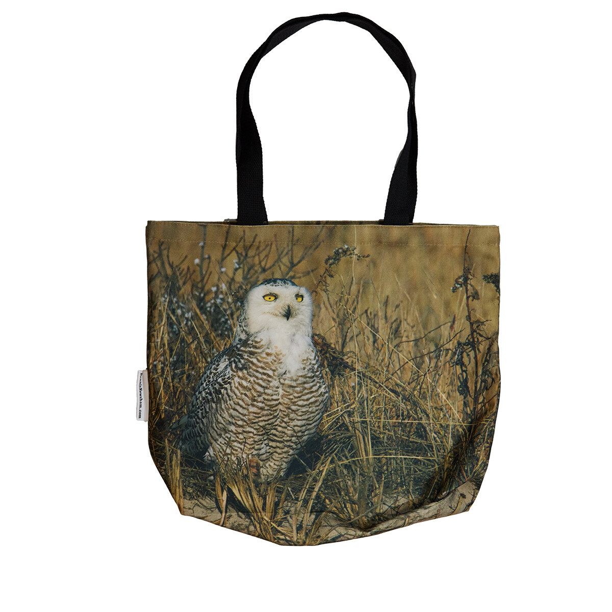 Snowy Owl in Queens, NYC – Bag Wildlife Photography by Dennis Newsham