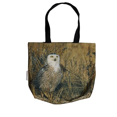 Snowy Owl in Queens, NYC – Bag Wildlife Photography by Dennis Newsham