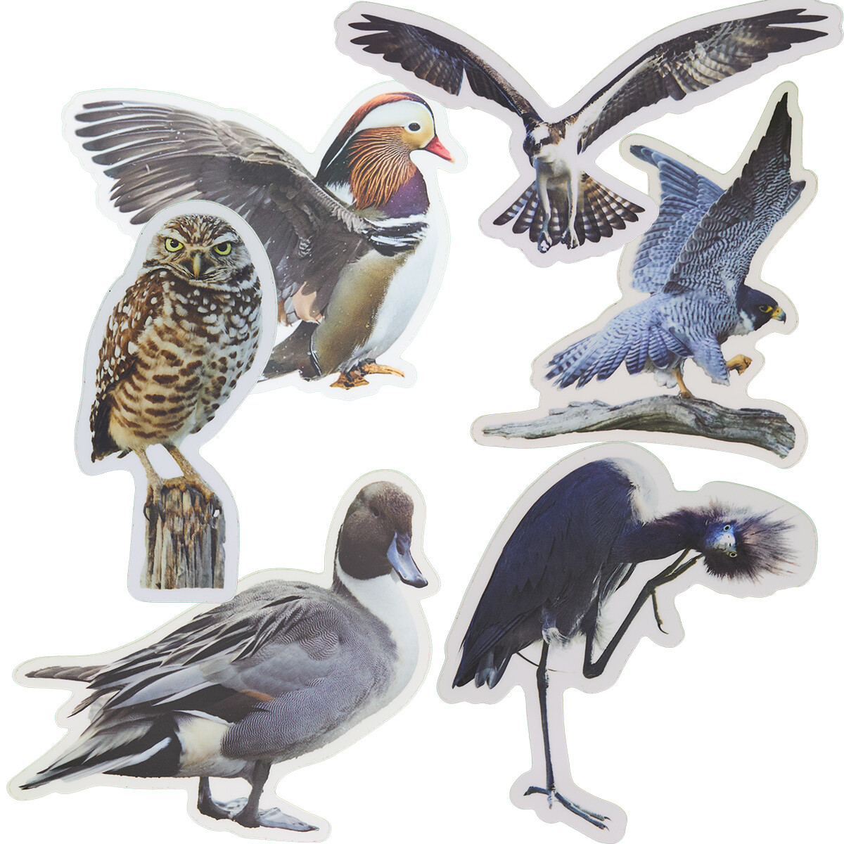 Sticker - Set of 6