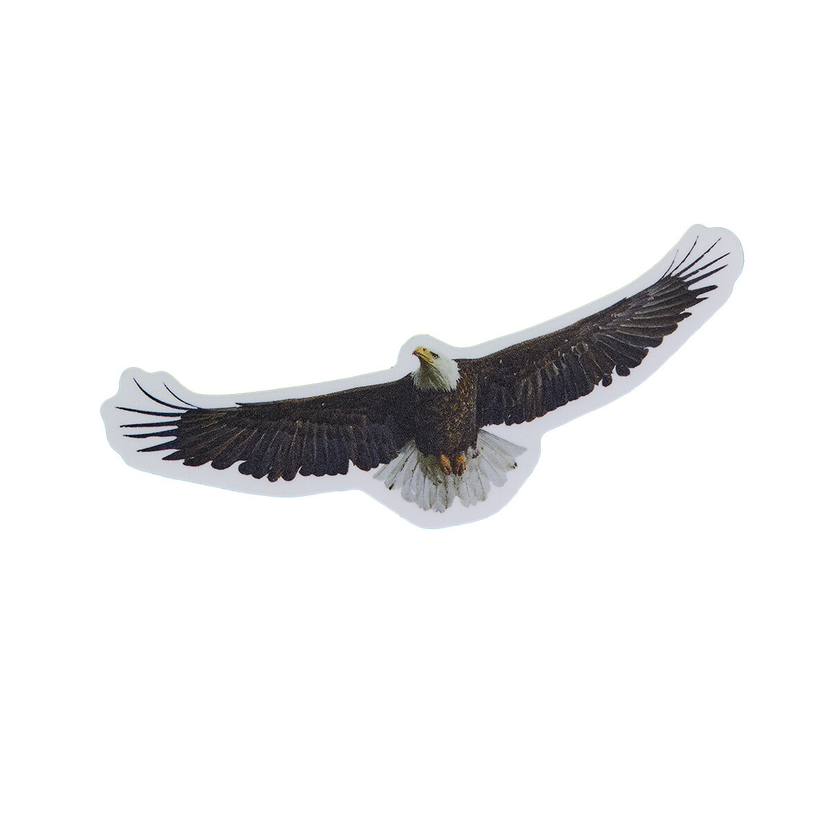 Bald Eagle- Sticker 4 Pack