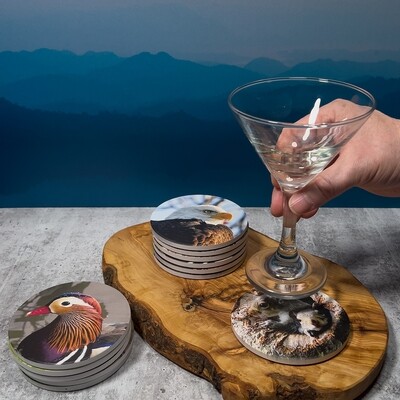 Wildlife Ceramic Coasters – Urban Nature Art Collection