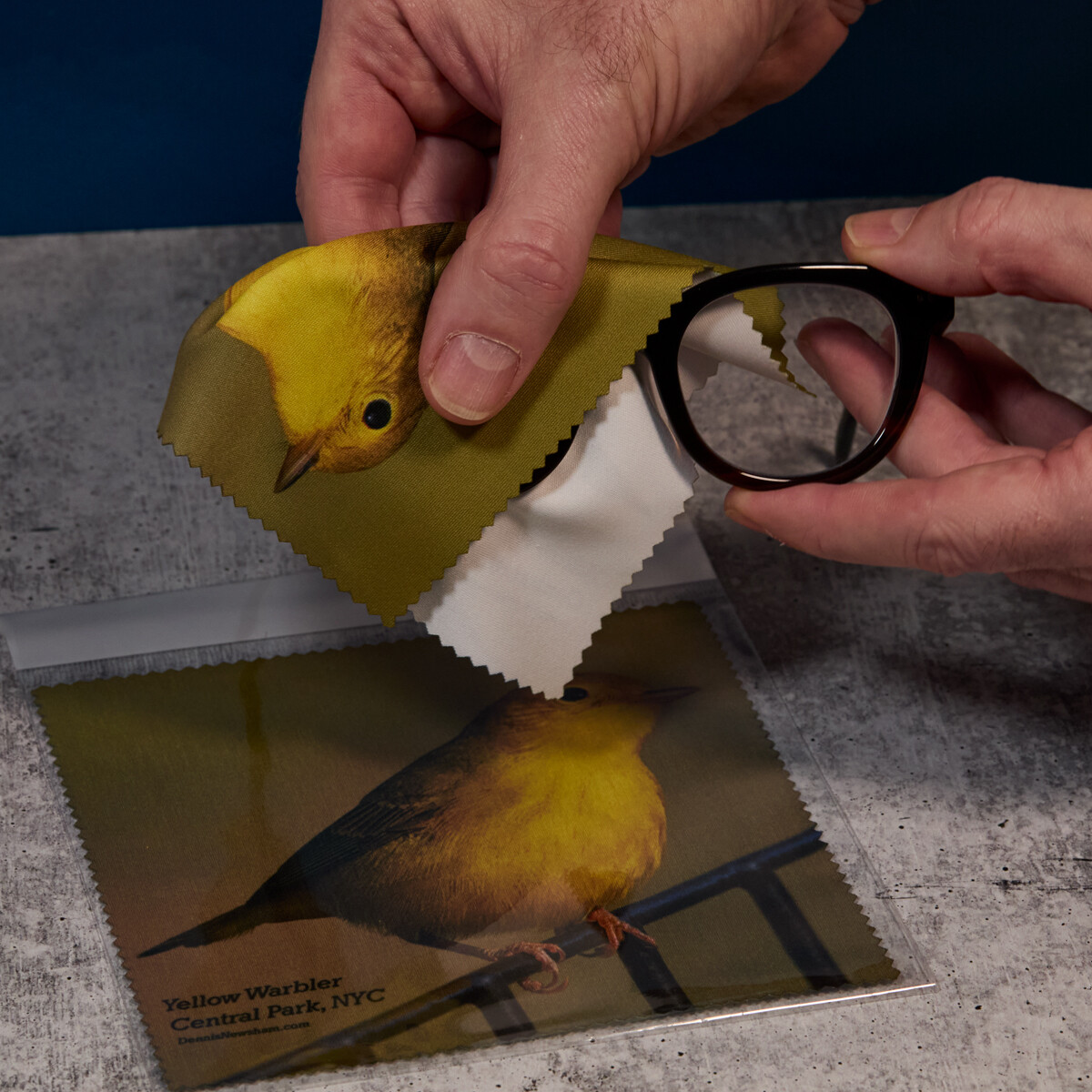 Yellow Warbler Eye Glass Cleaning Cloth 4 PACK