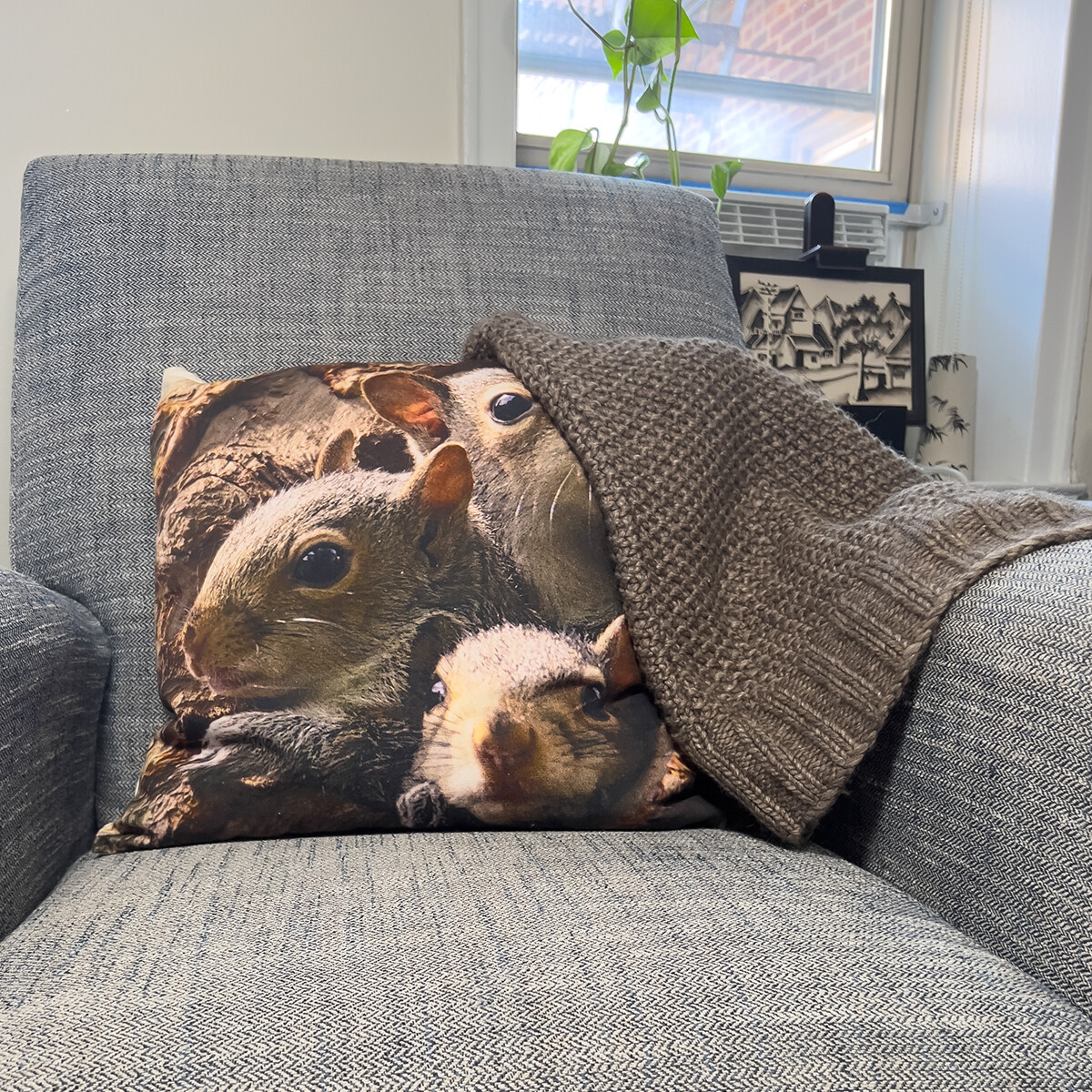 Pillow Cover - Family of Squirrels