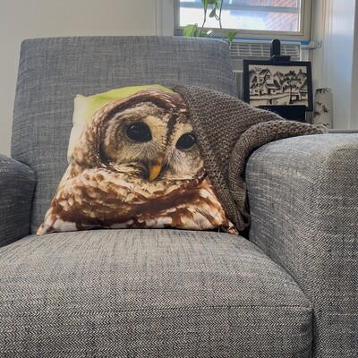 Pillow Cover - Barred Owl