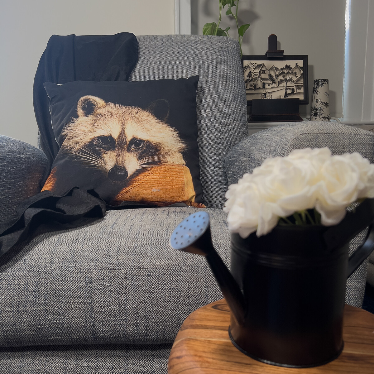 Pillow Cover - Raccoon