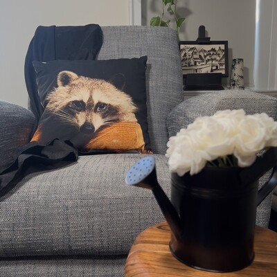 Pillow Cover - Raccoon