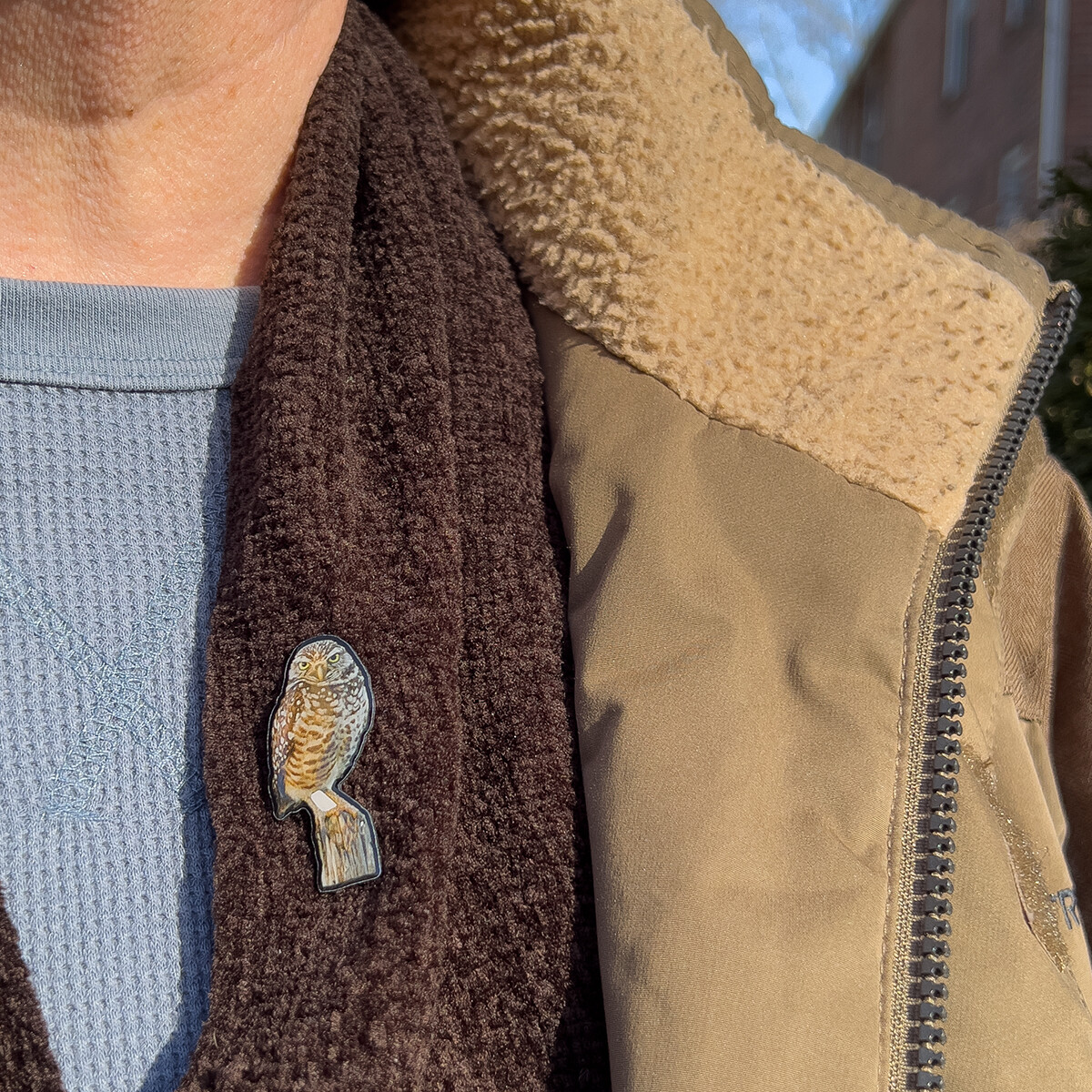 Metal Lapel Pins - Burrowing Owl