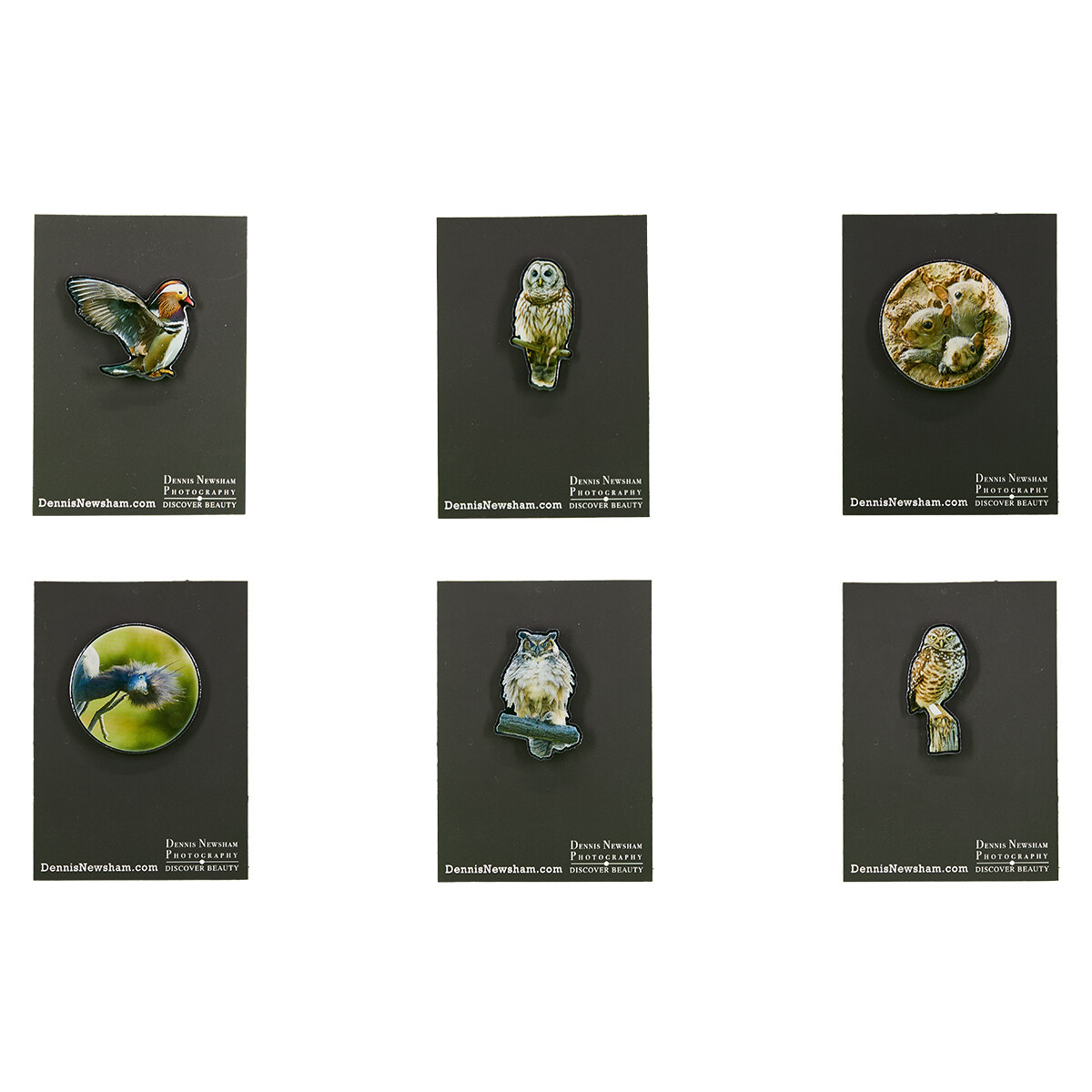 Metal Lapel Pin - Collection