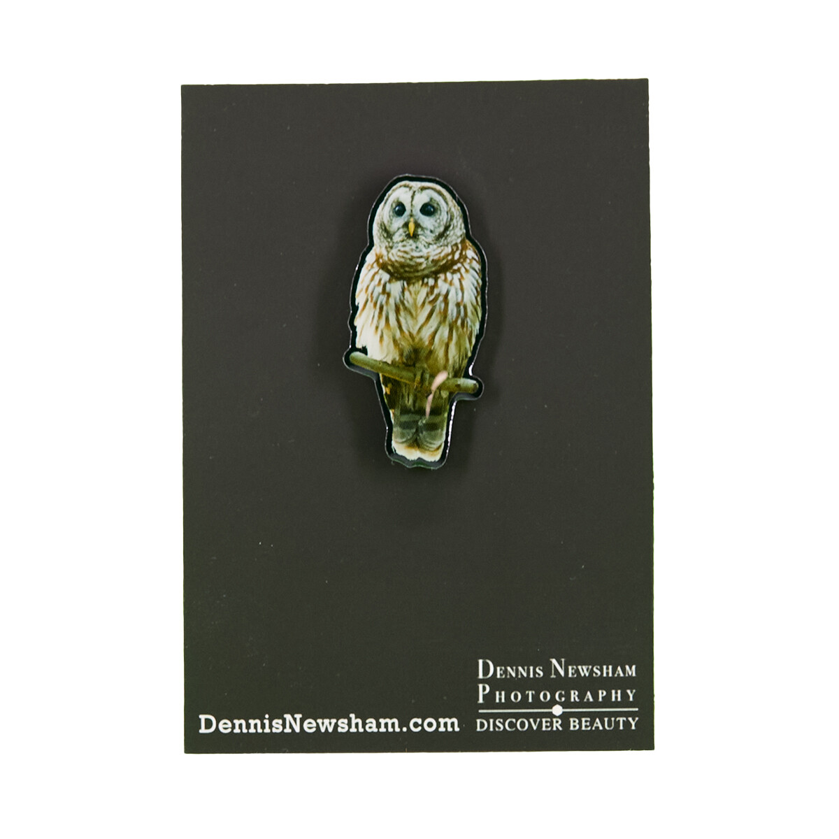 Metal Lapel Pin - Barred Owl