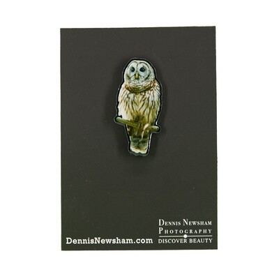 Metal Lapel Pin - Barred Owl
