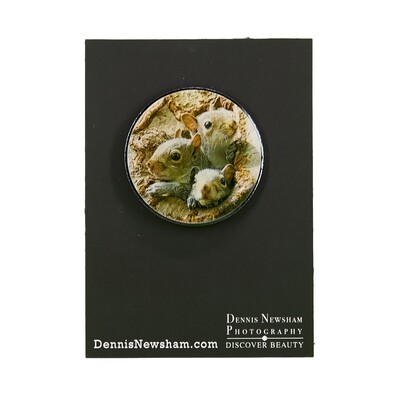 Metal Lapel Pin -Family Gray Squirrels