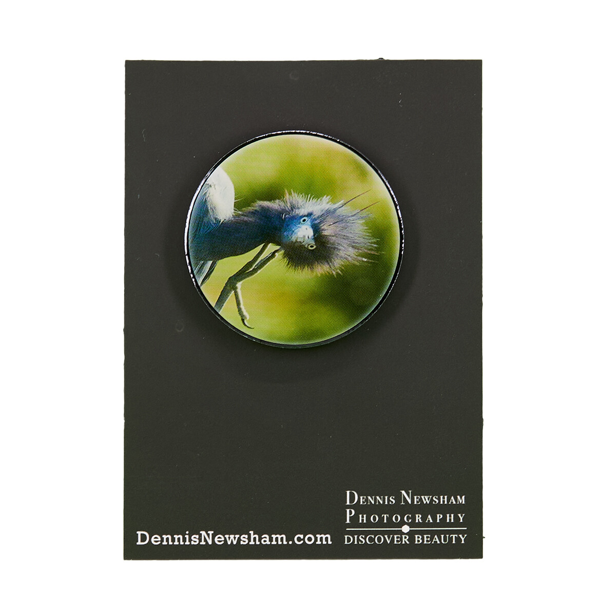 Metal Lapel Pin -Little Blue Heron