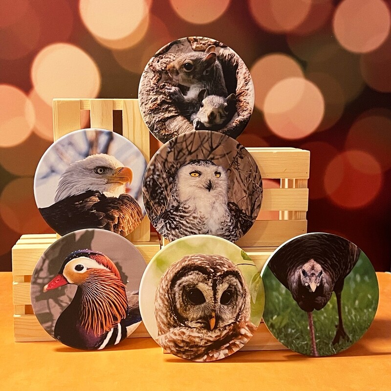 Coasters