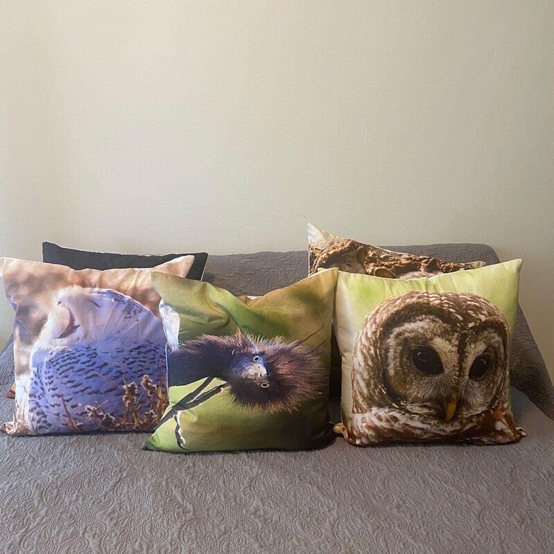 Pillow Covers