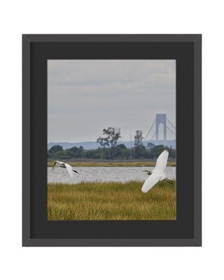 Great Egret Pair Framed Print