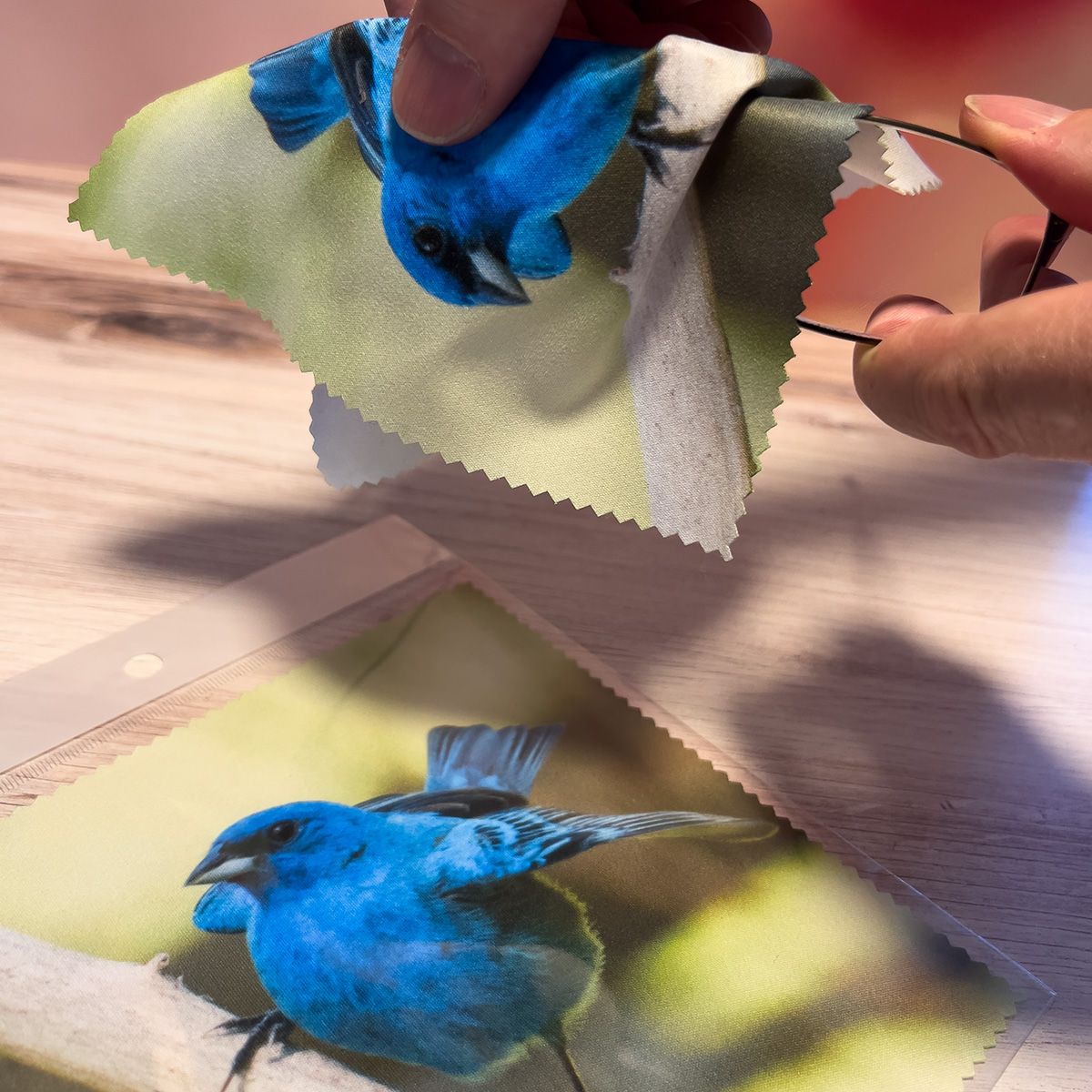 Indigo Bunting  Eye Glass Cleaning Cloth 4 PACK