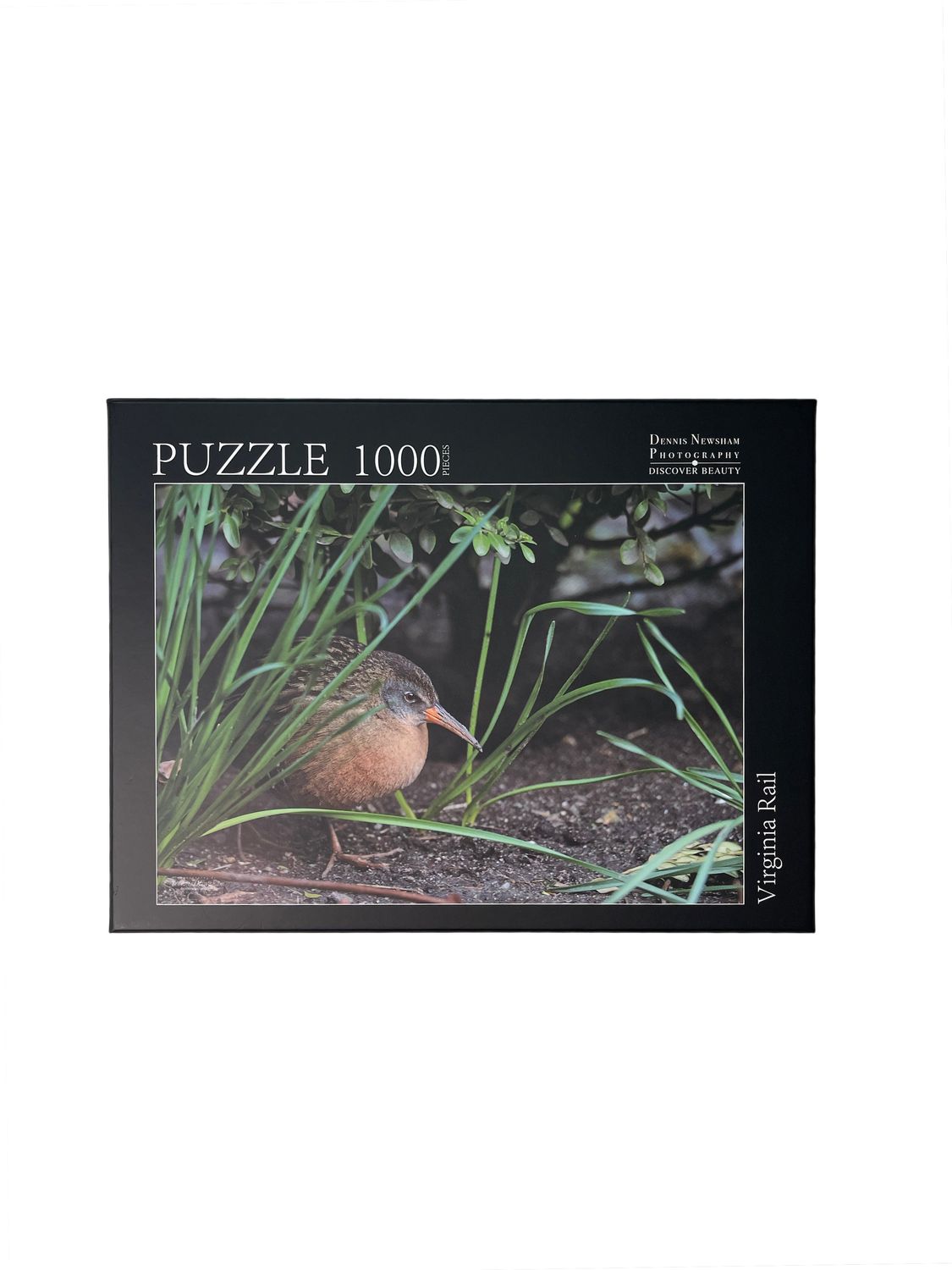 NYC bird puzzle – Virginia Rail photographed in Bryant Park by Dennis Newsham