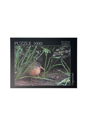 NYC bird puzzle – Virginia Rail photographed in Bryant Park by Dennis Newsham