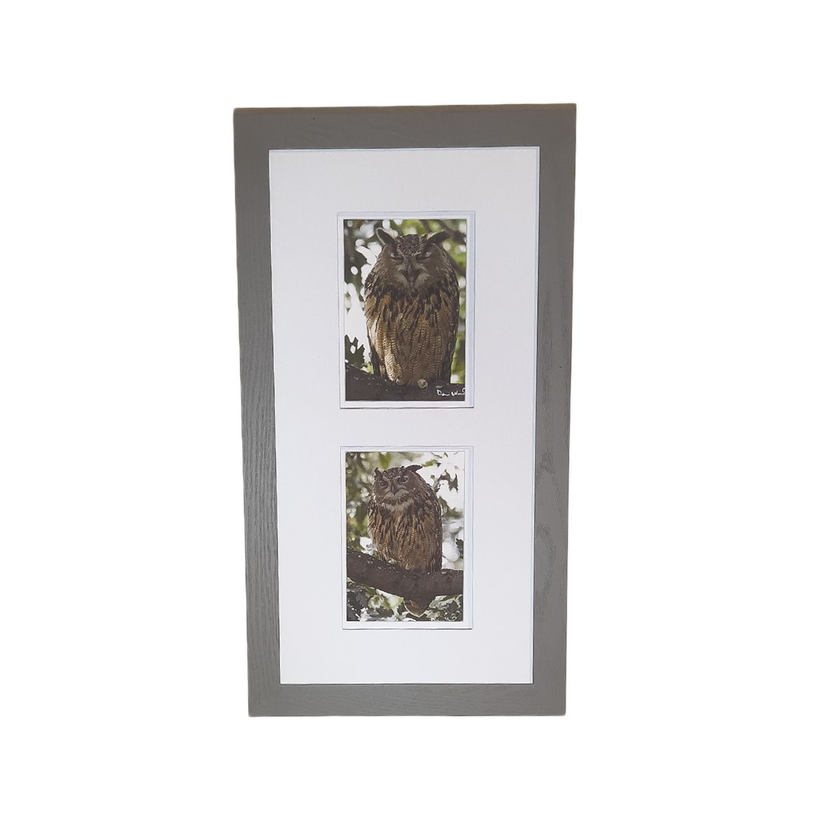 Flaco the Eurasian Eagle-Owl Central Park  Double Print Framed Print