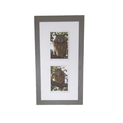 Flaco the Eurasian Eagle-Owl Central Park  Double Print Framed Print