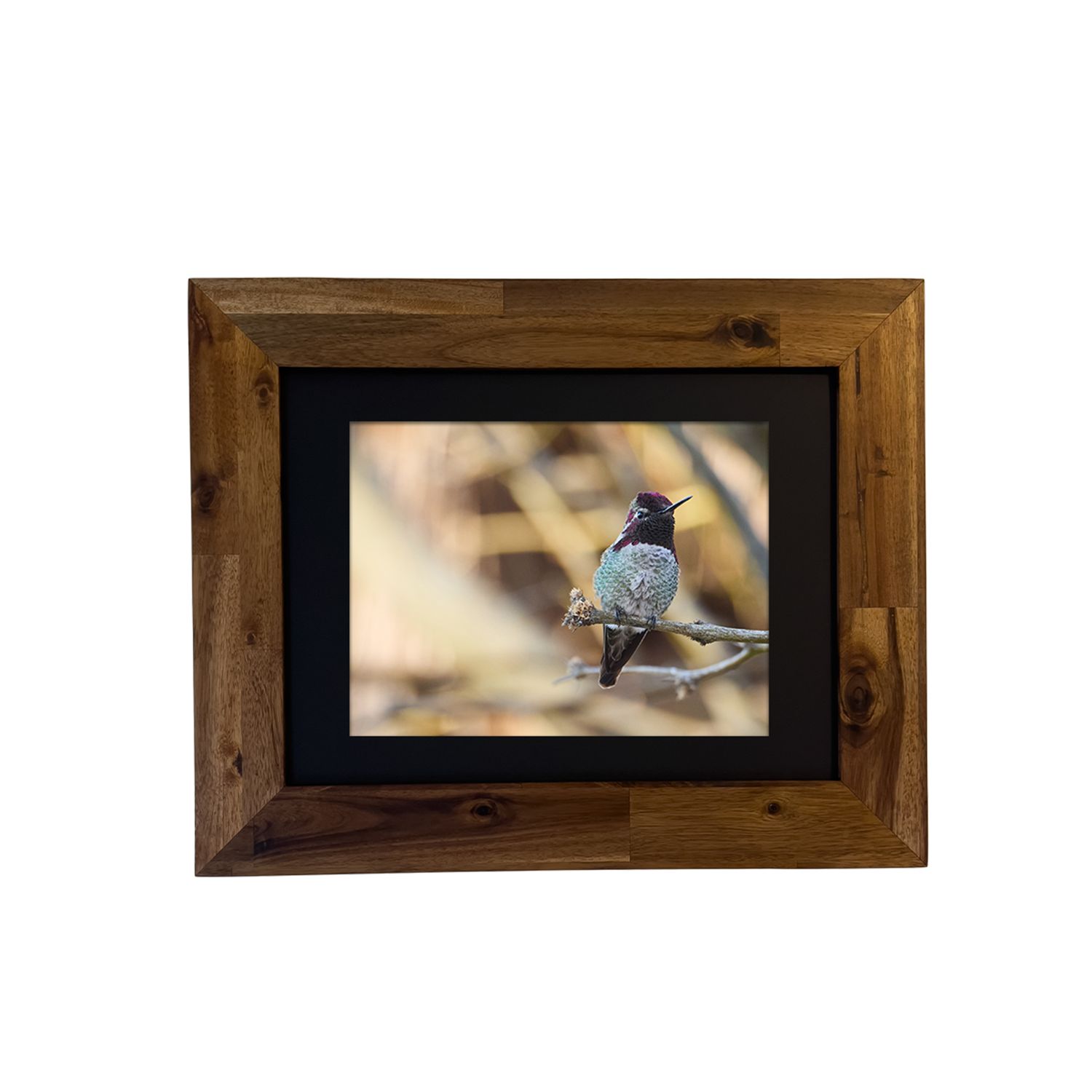 Framed print of Anna’s Hummingbird in the Palm Springs desert, captured by Dennis Newsham.