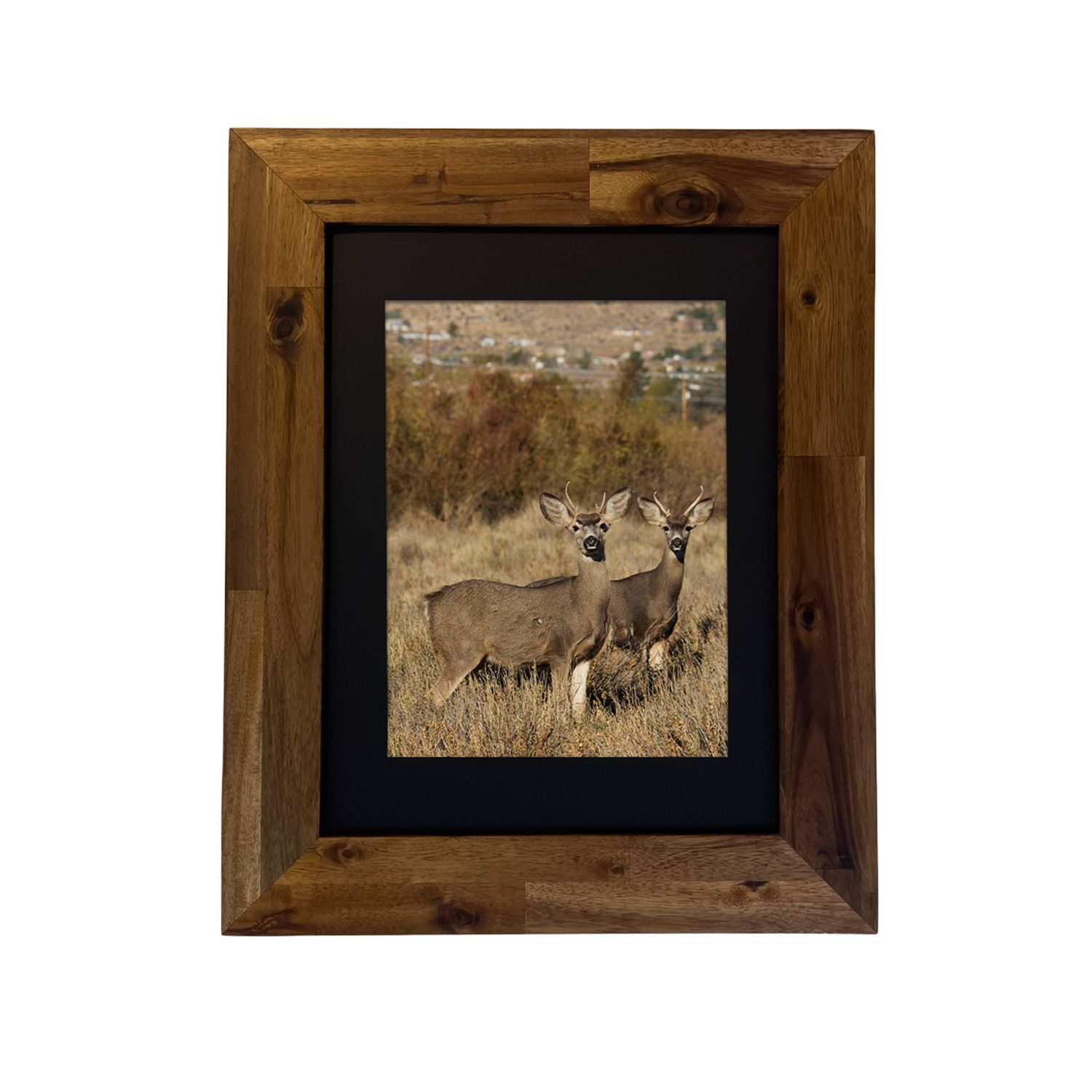Framed photograph of a Mule Deer in the Palm Springs high desert. Photo by Dennis Newsham