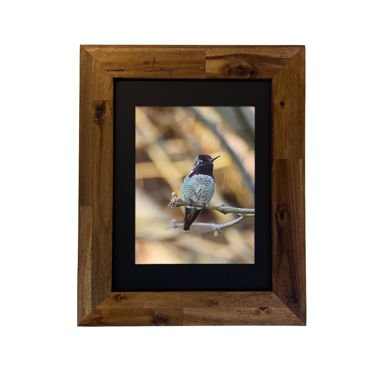 Framed print of Anna’s Hummingbird in the Palm Springs desert, captured by Dennis Newsham.
