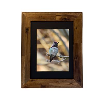 Framed print of Anna’s Hummingbird in the Palm Springs desert, captured by Dennis Newsham.