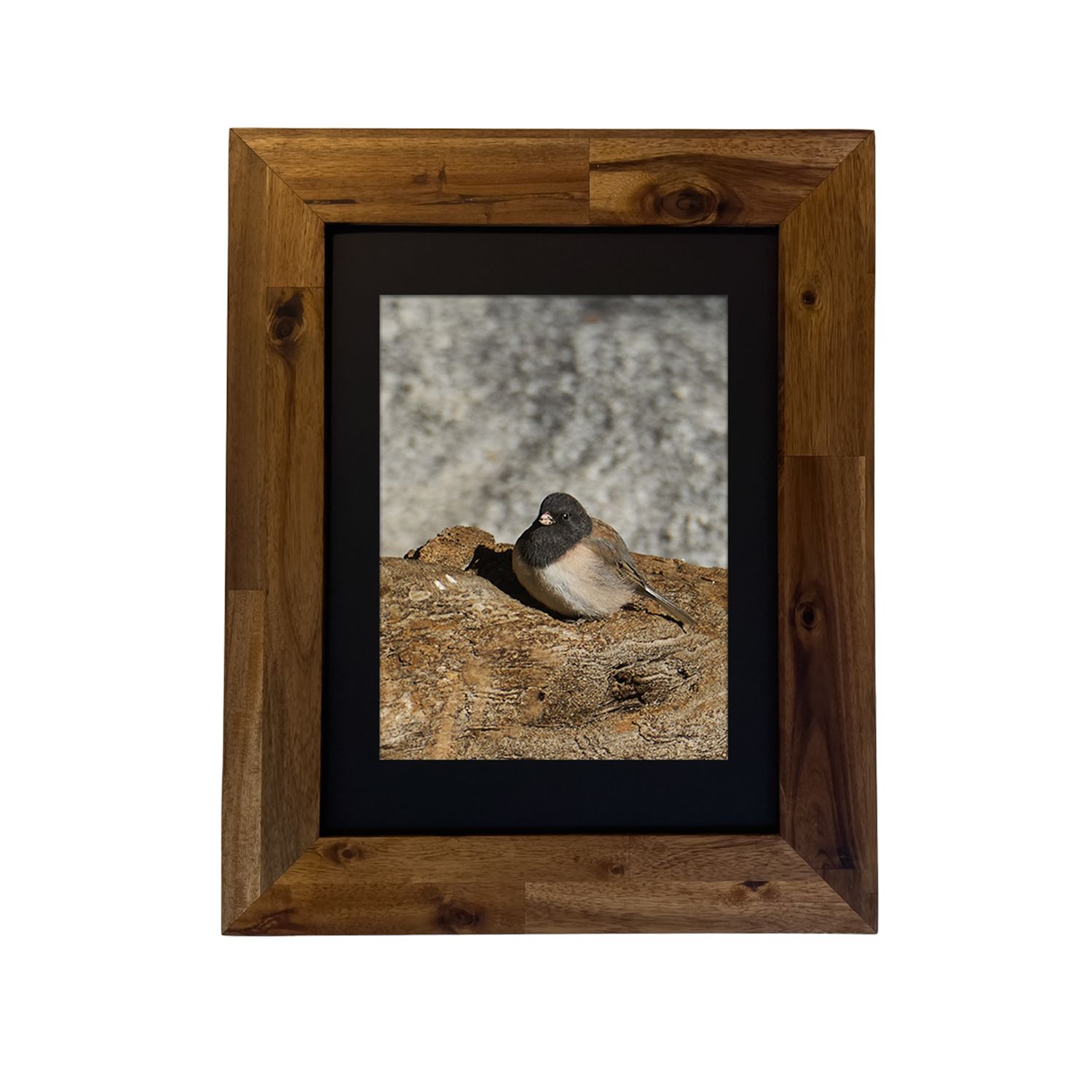 Framed art print of a Dark-eyed Junco bird in the Palm Springs area. Photo by Dennis Newsham