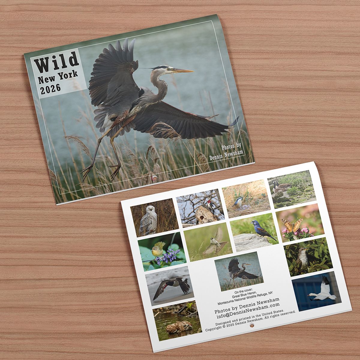 Wild New York 2026 Calendar front and back cover featuring urban wildlife photography by Dennis Newsham