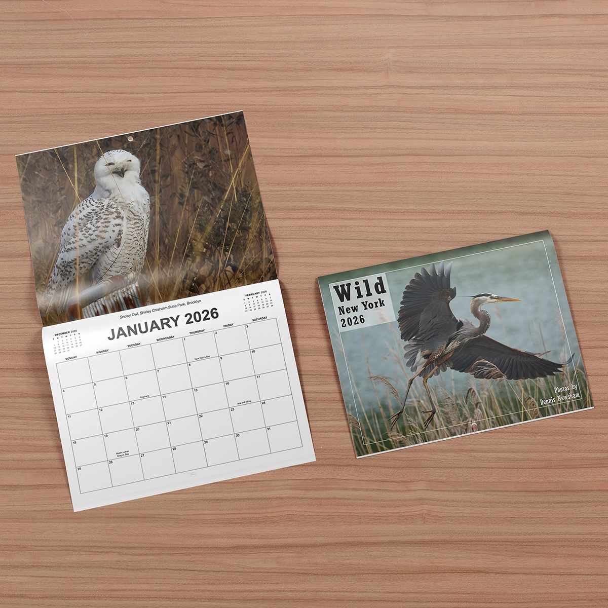 Wild New York 2026 Calendar with cover and open January page featuring Snowy Owl –wildlife photography by Dennis Newsham