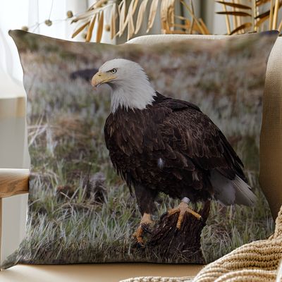 Bald Eagle wildlife pillow cover – Yellowstone National Park photography by Dennis Newsham