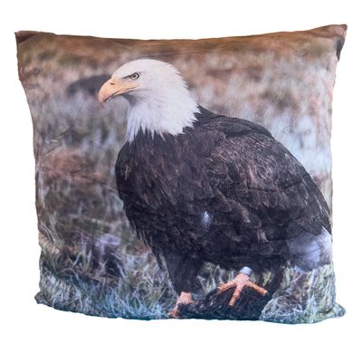Bald Eagle wildlife pillow cover – Yellowstone National Park photography by Dennis Newsham