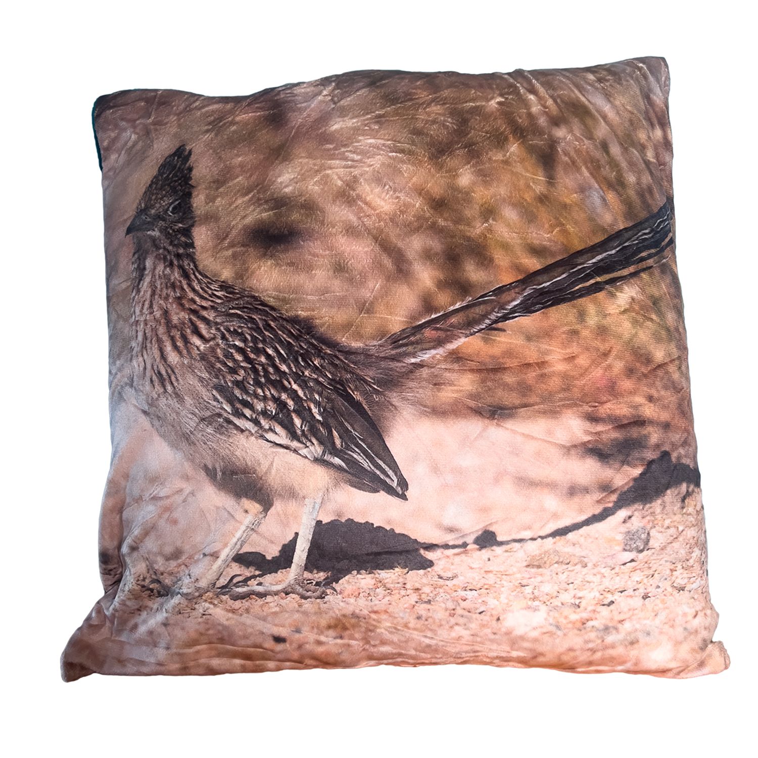 Greater Roadrunner pillow cover – Palm Springs desert bird photography by Dennis Newsham