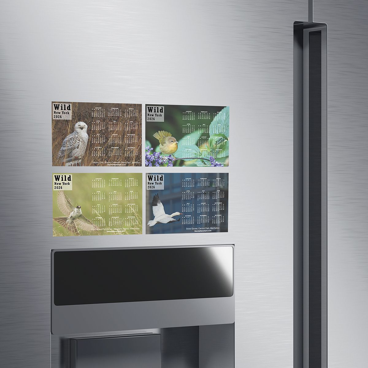 Wild New York 2026 Magnets Set – 4 Wildlife Photos 5″×7″