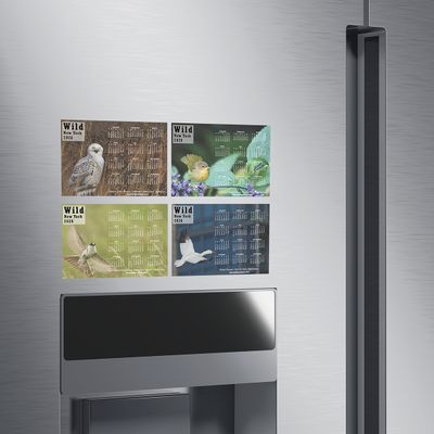 Wild New York 2026 Magnets Set – 4 Wildlife Photos 5″×7″