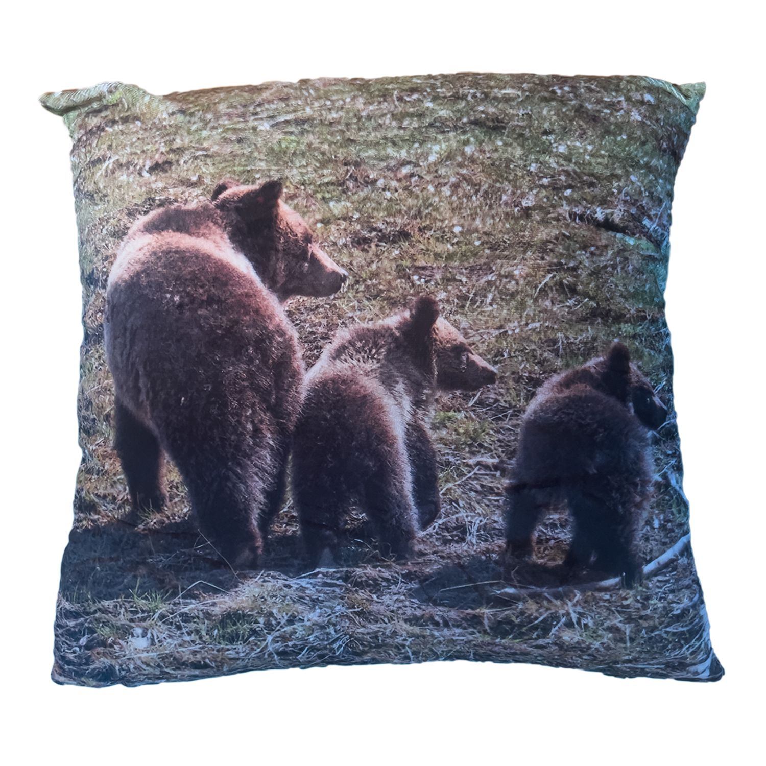 Grizzly Bear family pillow cover – mother bear with cubs, Yellowstone National Park wildlife photography by Dennis Newsham